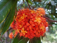 DSC01327a